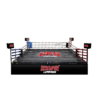 SKS Boxing Ring