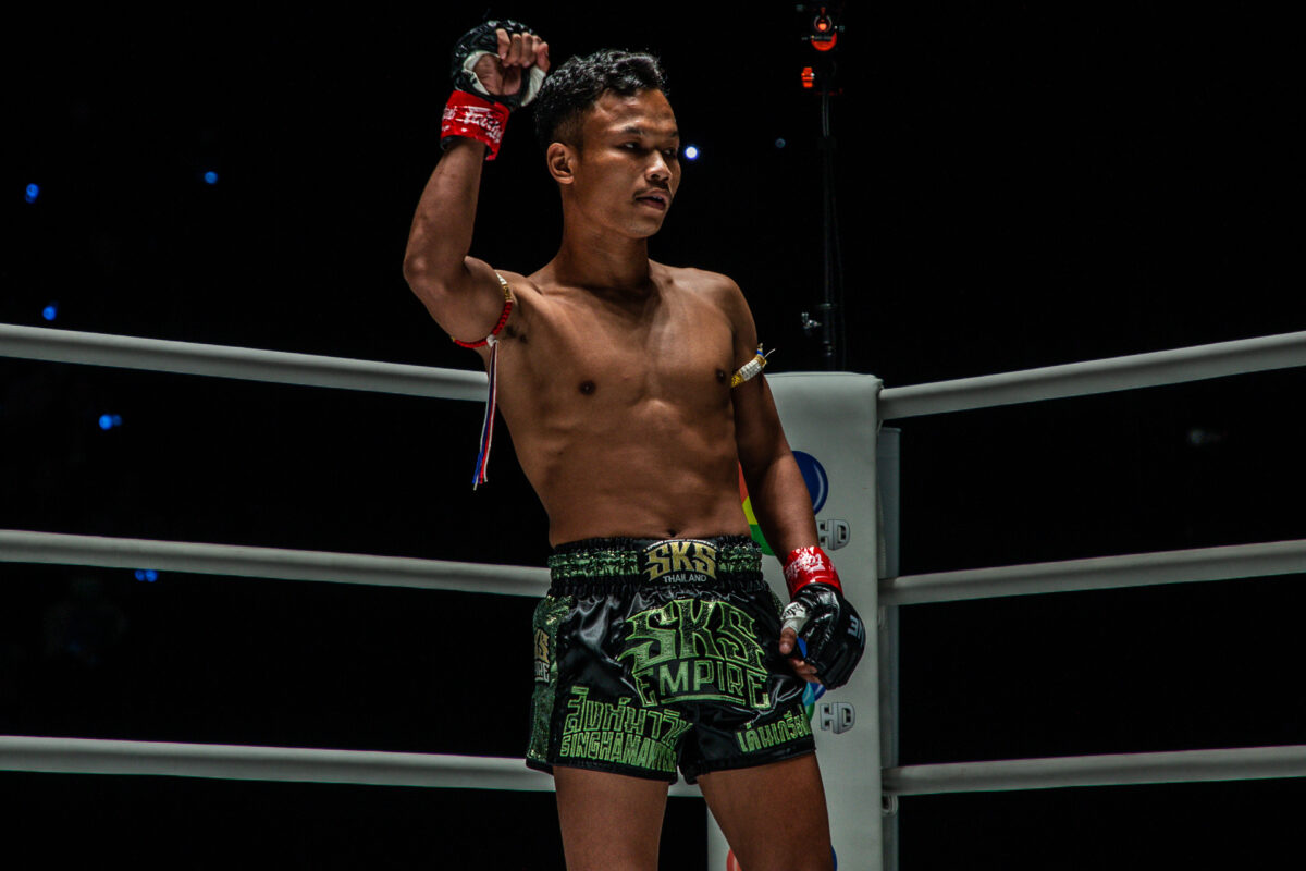 Profile Fighter ONE LUMPINEE