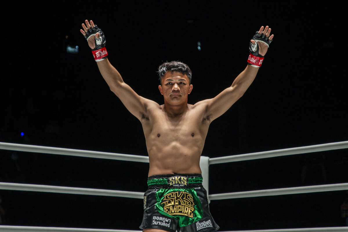 Profile Fighter ONE LUMPINEE