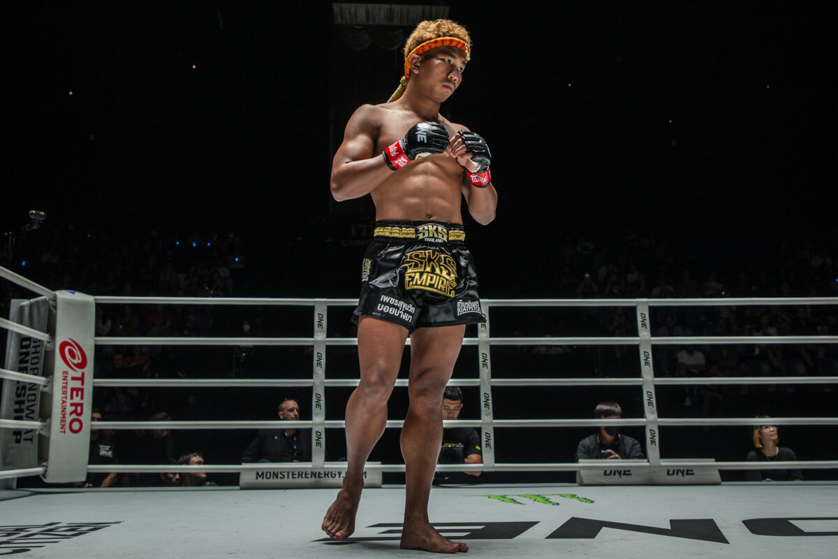 Profile Fighter ONE LUMPINEE