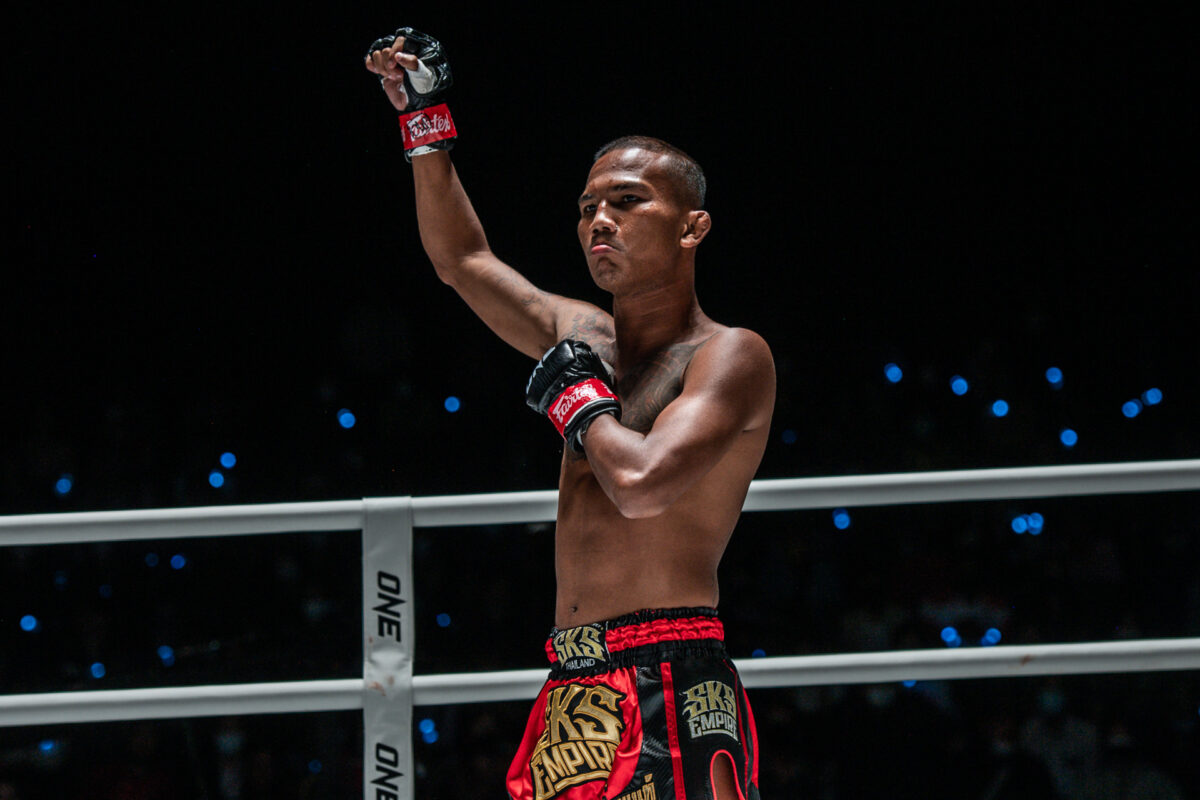 Profile Fighter ONE LUMPINEE