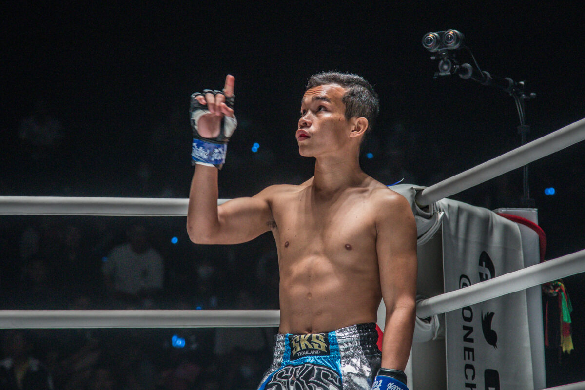Profile Fighter ONE LUMPINEE