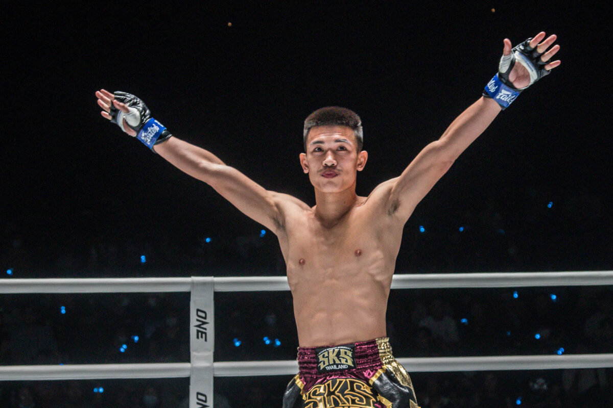 Profile Fighter ONE LUMPINEE