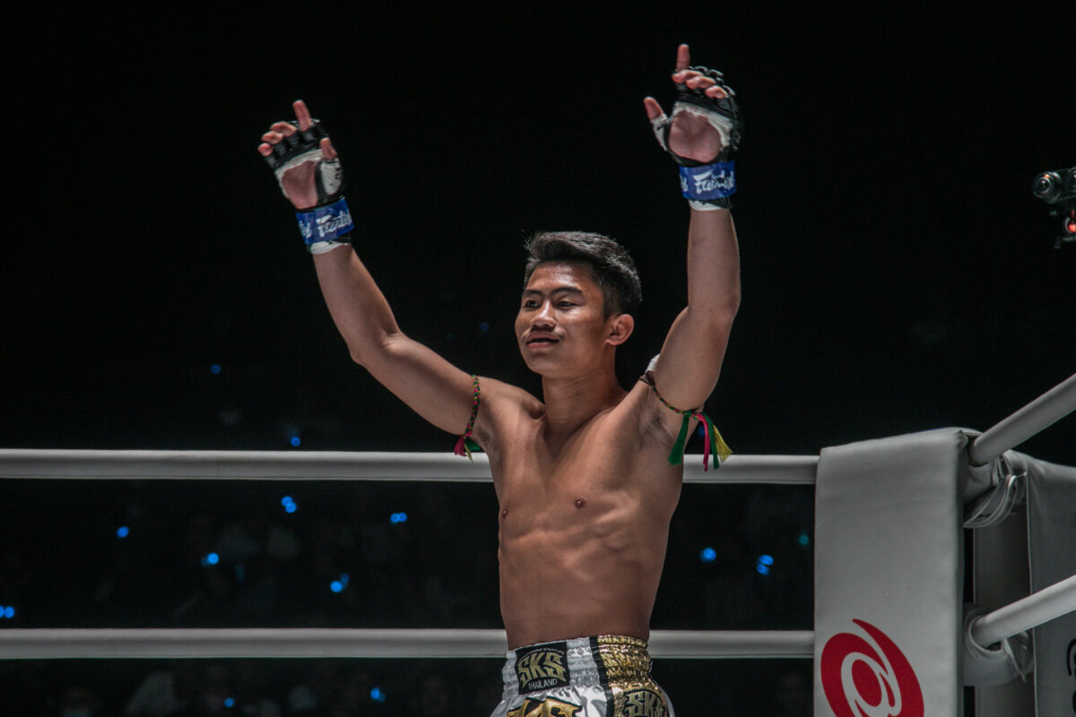 Profile Fighter ONE LUMPINEE