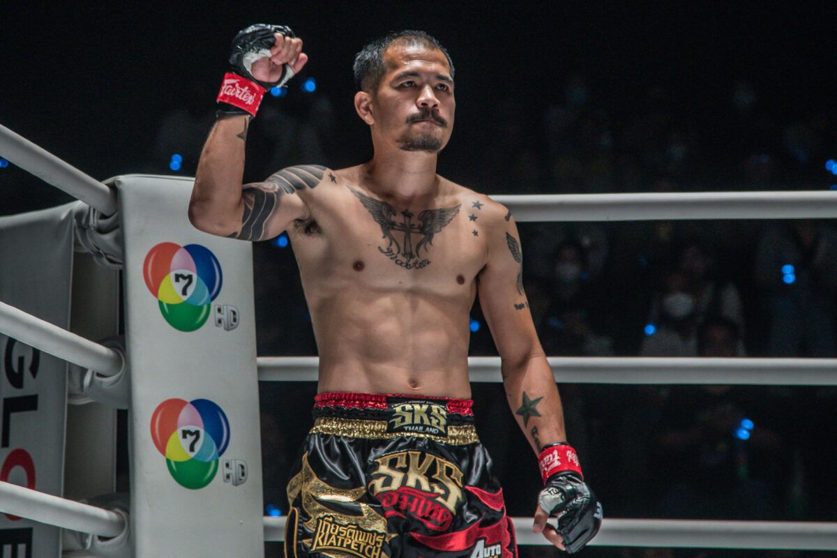 Profile Fighter ONE LUMPINEE