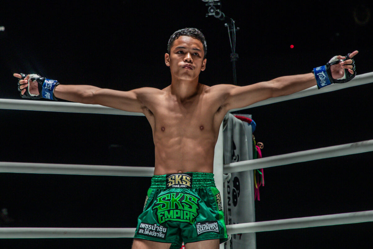 Profile Fighter ONE LUMPINEE