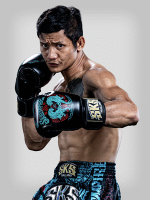 SKS Tiger Sticker Bomb Muay Thai Gloves "Sakyant" (Black)